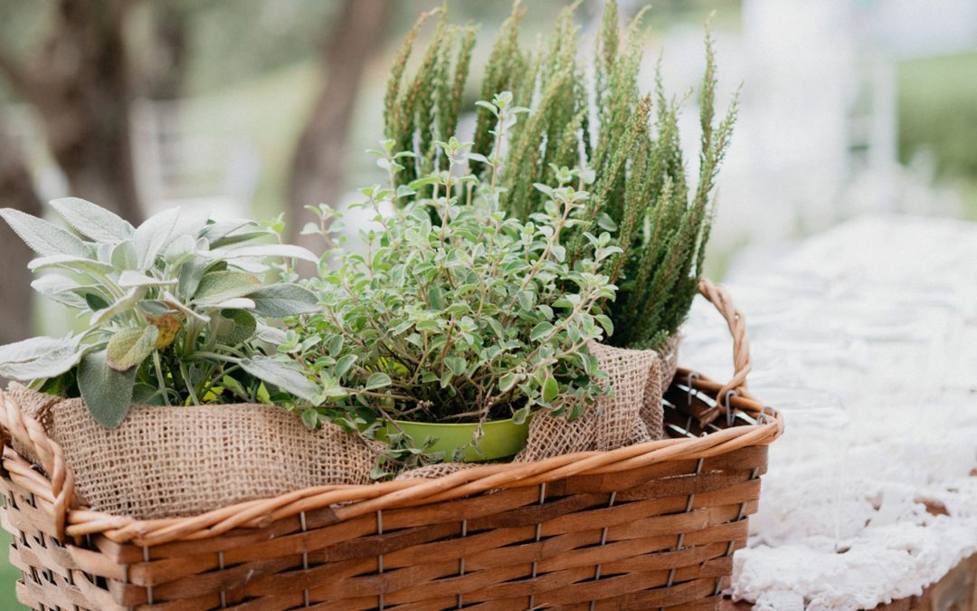 Wedding favors yes, but opt for fancy!